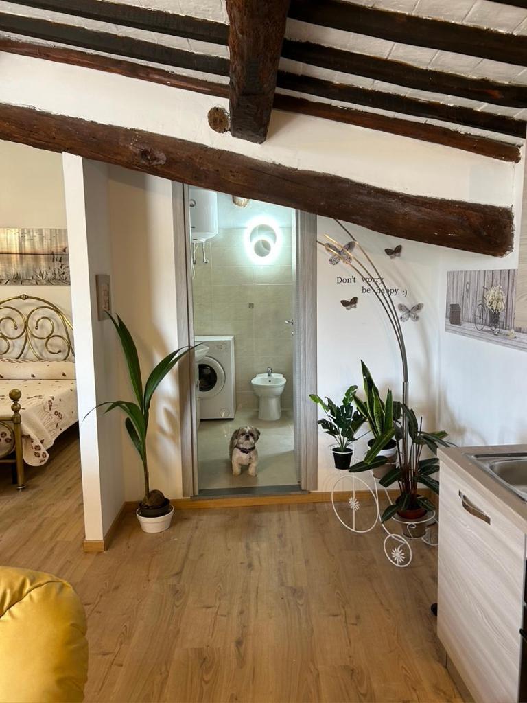 Bagnoregio Apartment You&Me Zewnętrze zdjęcie